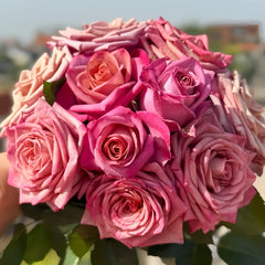 Barista Rose Plant|咖啡师 image 0