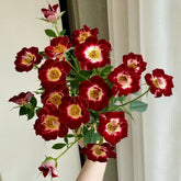 Little Artist Rose Plant|小画家 image 0