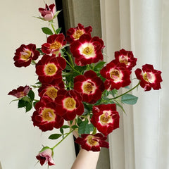 Little Artist Rose Plant|小画家 image 0