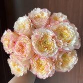 Stylist Rose Plant|造型师 image 0