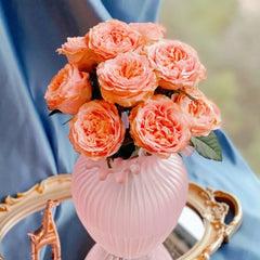 Peach Funky Rose Plant | 方可桃 image 3