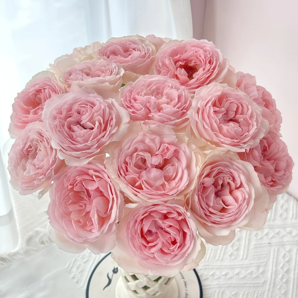 Kyouka Rose Plant|镜花 image 0