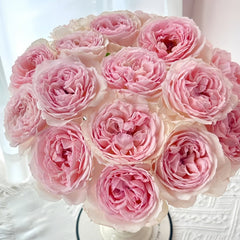 Kyouka Rose Plant|镜花 image 1