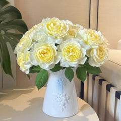 Claire Austin Rose Plant|克莱尔奥斯汀 image 1