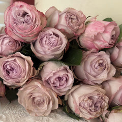 Shades of Grey Rose Plant| 灰色阴影 image 0