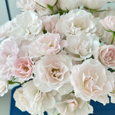 Jillian Rose Plant|吉莉安公主 image 0