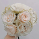 Lady Eva Rose Plant|伊娃夫人 image 0