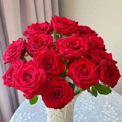 Bloody Rose Plant|布拉迪 image 2