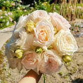 Madame Anisette Rose Plant|茴香酒夫人 image 0