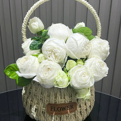 Yves Wedding Road Rose Plant|伊芙婚礼之路 image 1