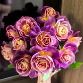 Diablesse de Mers Rose Plant|恶魔的海洋 image 0