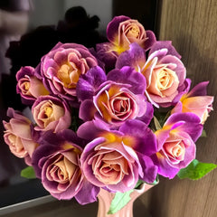 Diablesse de Mers Rose Plant|恶魔的海洋 image 0