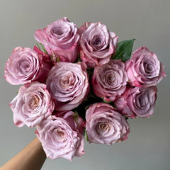 Moon Dust Rose Plant|月光之尘 image 1