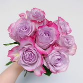 Glamorous Rose Plant |气场玫瑰 image 0