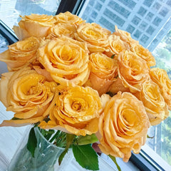 Dun Huang Rose Plant|敦煌玫瑰 image 1