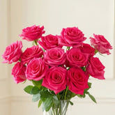 Pink Floyd Rose Plant|弗洛伊德 image 0