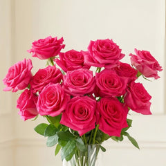 Pink Floyd Rose Plant|弗洛伊德 image 0