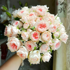 Pompom Verand Rose Plant|门廊绒球 image 0
