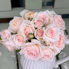 Mona Lisa Rose Plant | 蒙娜丽莎 image 1