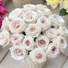 Silver Lining Rose