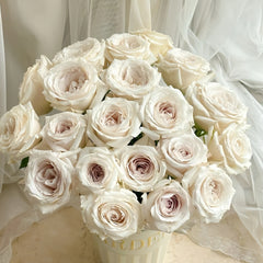 Silver Lining Rose