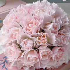 Jillian Rose Plant|吉莉安公主 image 1
