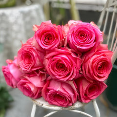 Grande Dame Rose Plant|贵妇人 image 3
