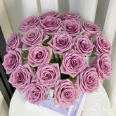 Nightingale Rose Plant|紫霞仙子 image 0