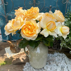 Golden Yves Piaget Rose Plant|伊芙金伯爵 image 2