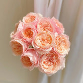 Tsumugi ulala Rose Plant|紬-纺丽 image 0