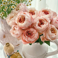 Princess Sakura Rose Plant|樱花公主 image 3