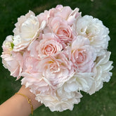 Chou Chou Rose Plant|闪闪发光 image 0