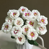 Brideside Rose Plant|桥边之约 image 0