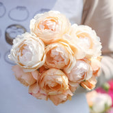 Wollerton Old Hall Rose Plant|沃勒顿老庄园 image 0