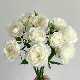 Shizuku Rose Plant|心之水滴 image 0