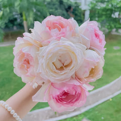 Optimiste Rose Plant|乐天派 image 1