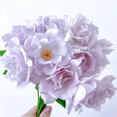 Blue Vague Rose Plant|蓝色迷雾 image 3