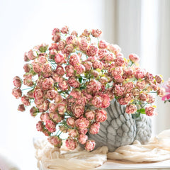 Princess Pinku Rose Plant|品库公主 image 1