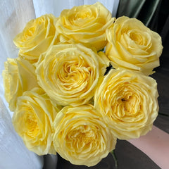 Hiyoko Rose Plant|小黄鸡 image 0