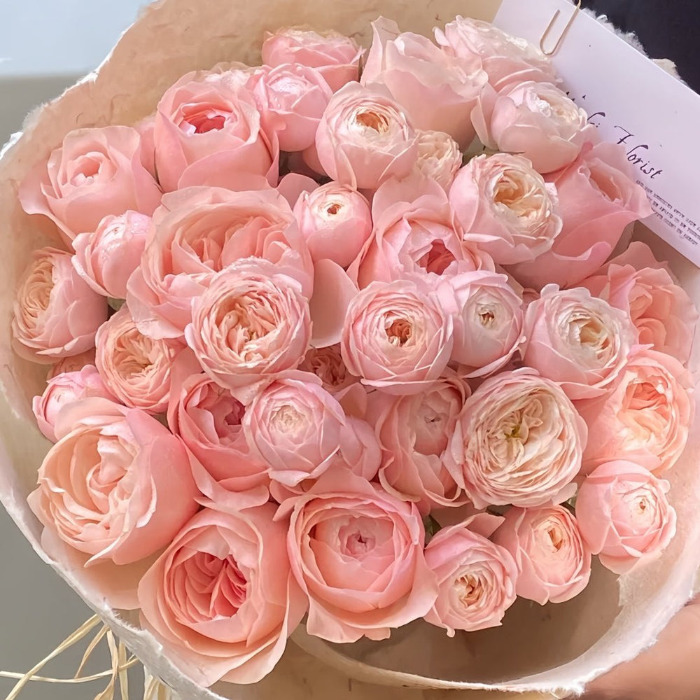 New SPS Rose Plant|柏林少女 image 8