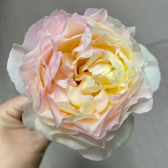 Returning to Spring Rose Plant|回春 image 2