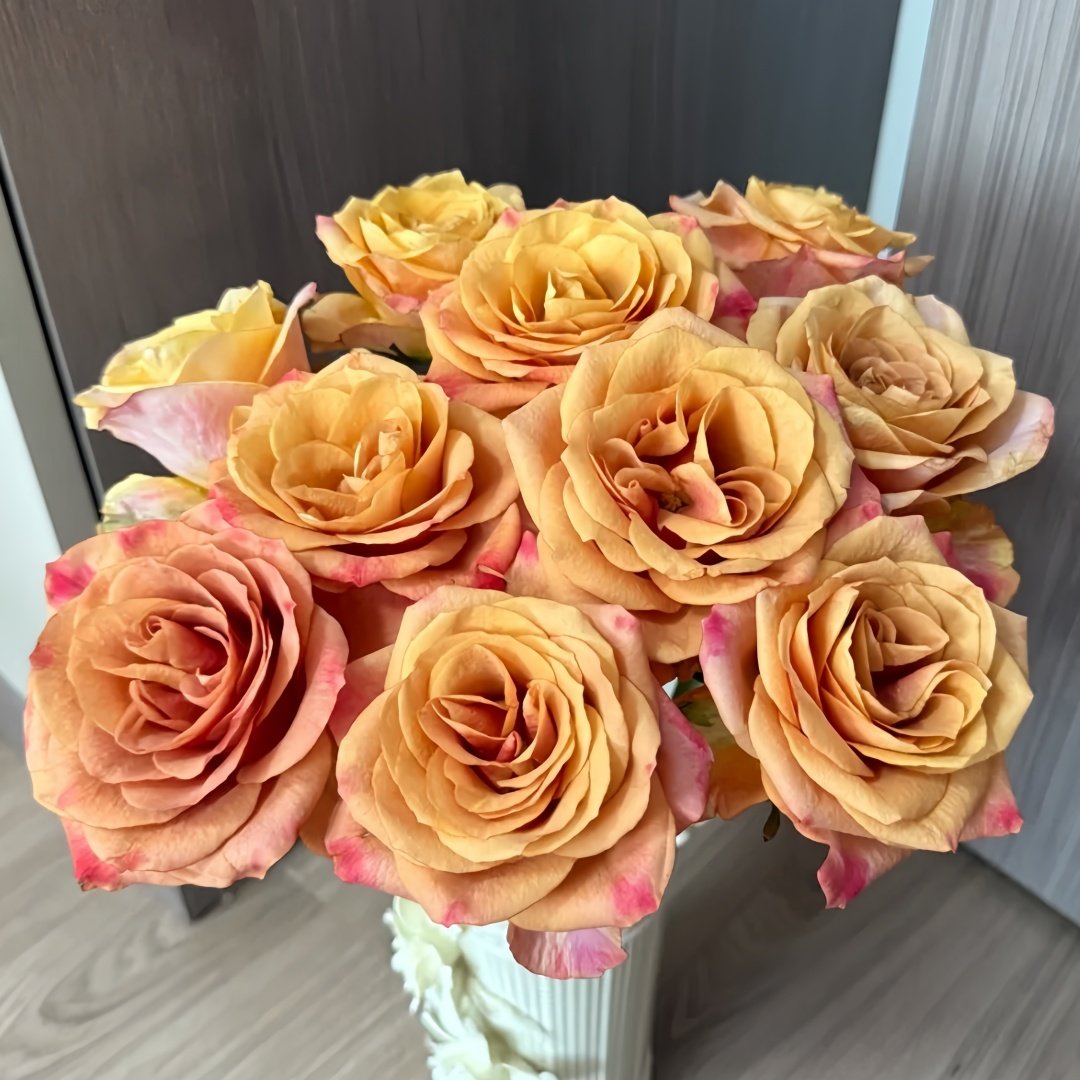 Symbol Rose Plant｜标志 image 7