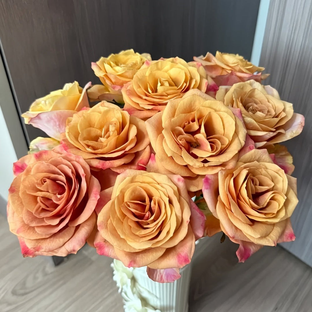 Symbol Rose Plant｜标志 image 7
