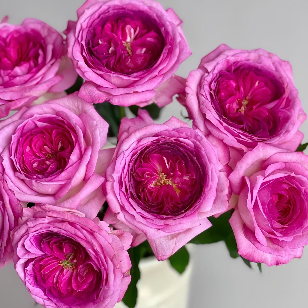 Thierry Marx Rose Plant｜蓝莓蛋糕 image 7