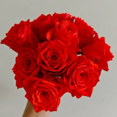 Wine Red Embroidery Rose Plant|酒红刺绣 image 1
