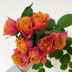 Rosa 'Naples Forever' Rose Plant｜永远的那不勒斯 image 2