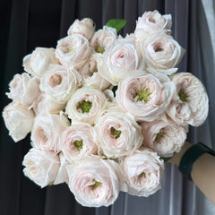Sweet Diamond Rose Plant|甜蜜钻石 image 1
