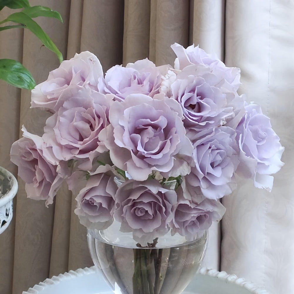 Blue Vague Rose Plant｜蓝色迷雾 image 8