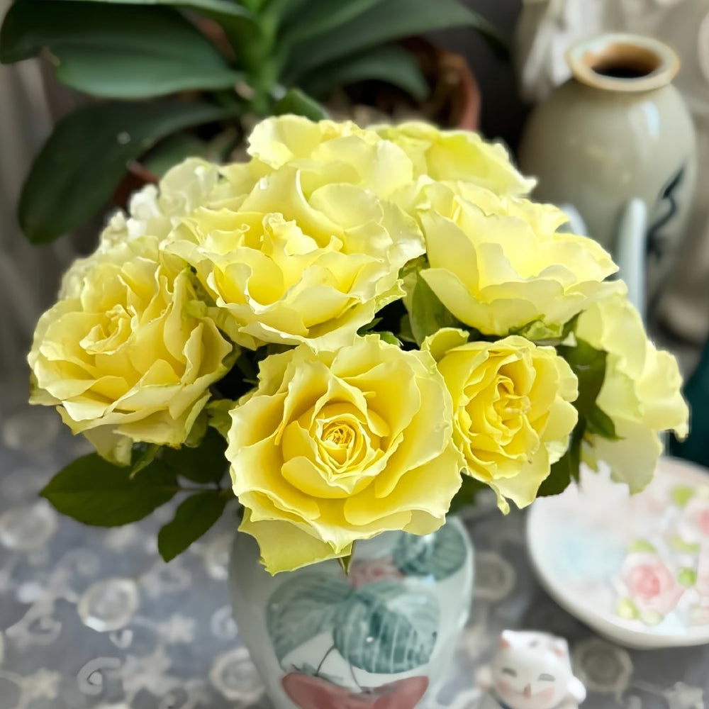 Green Planet Rose Plant|绿色行星 image 2