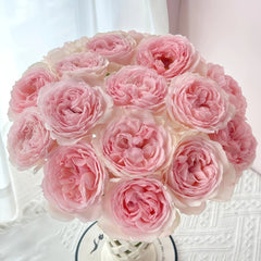 Kyouka Rose Plant|镜花 image 0
